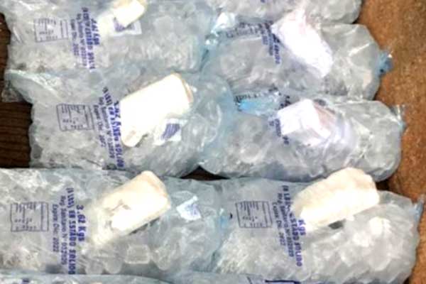 Detectan presunta droga en bolsas de hielo en La Nueva Joya