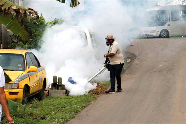 Panamá registra reducción del 29% en casos de malaria, autoridades refuerzan medidas de prevención