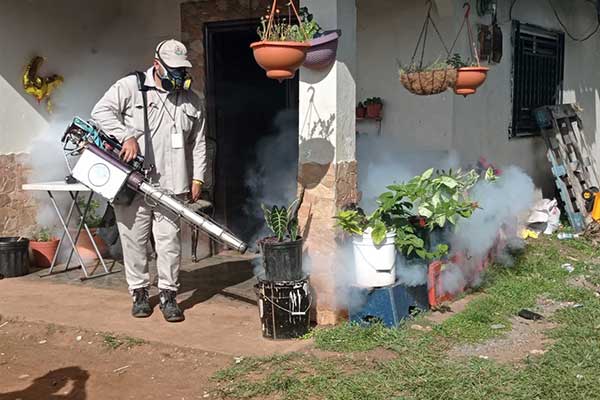 Dengue sigue siendo amenaza latente en la provincia de Chiriquí