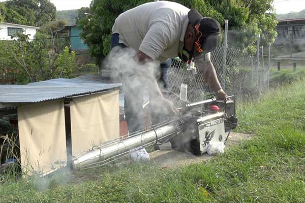 Panamá acumula más de 18 mil casos de dengue a nivel nacional