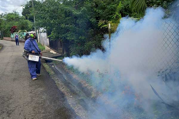 Confirman primera muerte por dengue en Panamá Oeste durante 2022