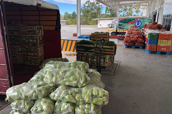 Llaman al diálogo a transportistas de carga de alimentos para evitar el paro