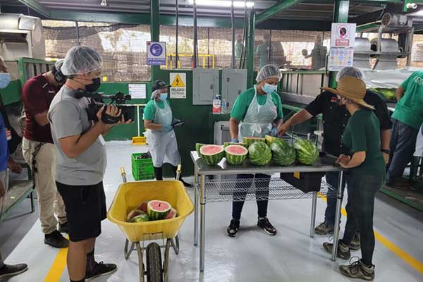 Agroexportaciones panameñas alcanzan los B/. 120 millones en cinco primeros meses de 2022