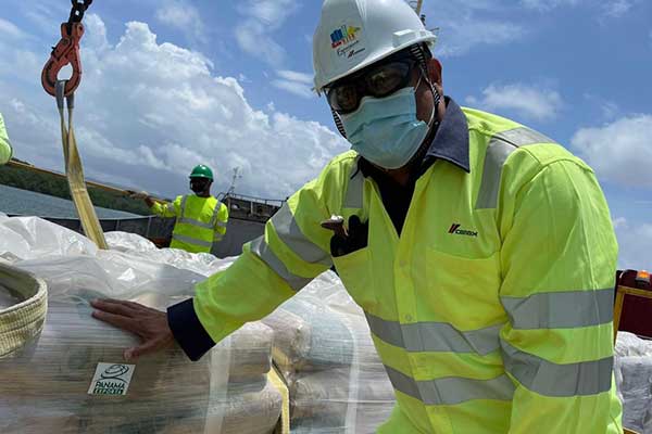 Exportaciones no cobre superan porcentaje de desempeño de los últimos 12 años