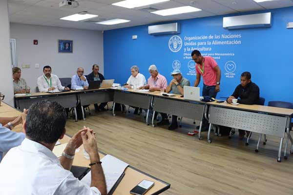 Impulsan hoja de ruta para potenciar rubros de cacao y café a nivel nacional