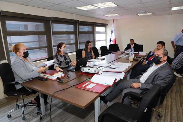 Subcomisión de la AN analiza proyecto de generadores municipales renovables y sostenibles