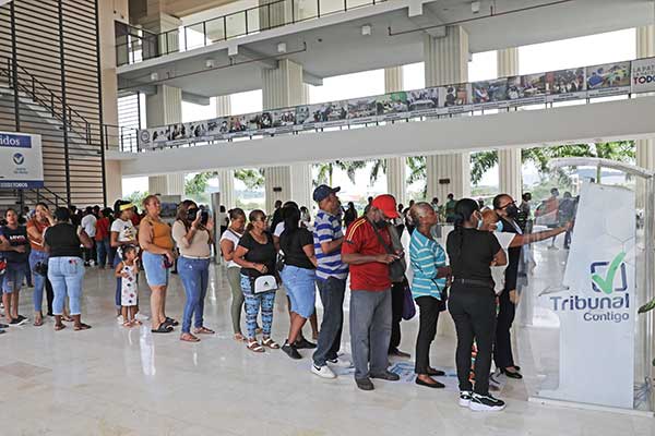 TE reporta más de 200 mil firmas recopiladas por libre postulación