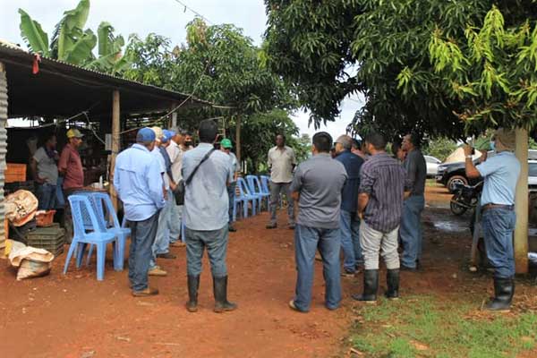Realizan taller técnico para manejo integrado del Thrips en cultivos hortícolas