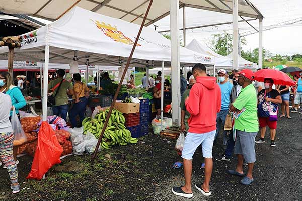 Anuncian ruta de las ferias libres de la Alcaldía de Panamá en noviembre