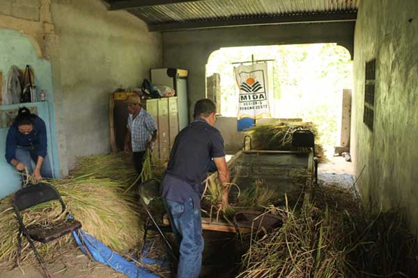 Escuela de Campo de ricipisicultura clausura con buenos resultados en Tres Hermanas de Capira
