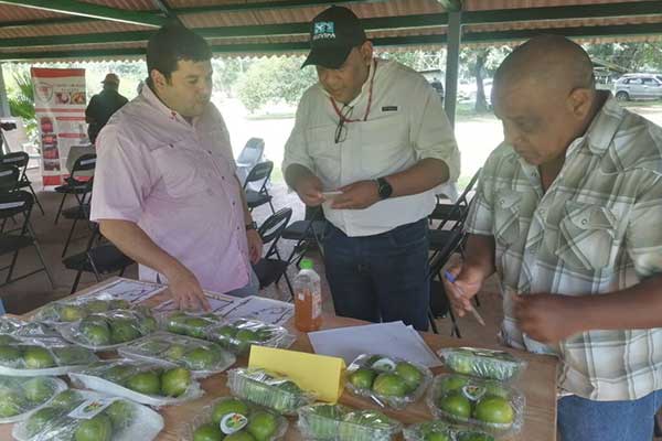 Productores de Panamá Este y Oeste y supermercados locales participan en rueda de negocios