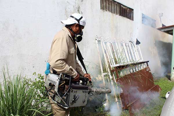 MINSA confirma 3 mil 672 casos de dengue en todo el país