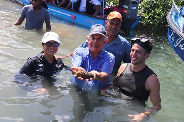 Realizan cosecha de pepinos de mar producidos en laboratorio en Colón