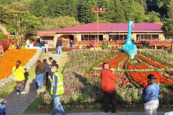 Autoridades de Salud en Chiriquí se preparan para la Feria de las Flores y del Café