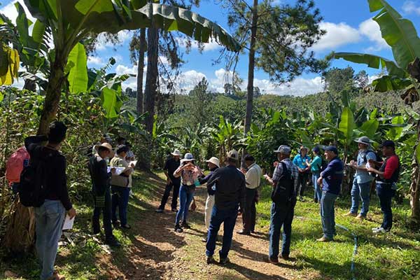 Inician intercambio de experiencias en café y cacao en Costa Rica