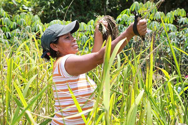 Cristobalina Barría, mujer rural que produce sus propios alimentos a través de la Escuela Campo