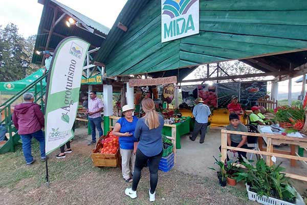 Feria de Santa Fe, oportunidad para el sector agropecuario panameño