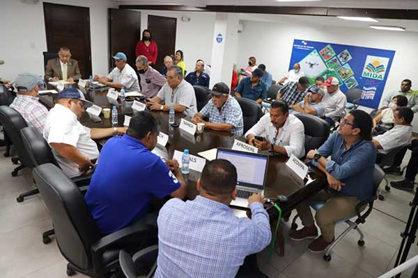 Panamá importará 2 millones de quintales de arroz