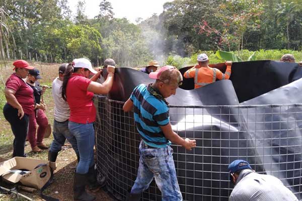 Instalan tinas para cría de peces en comunidades de Panamá Oeste