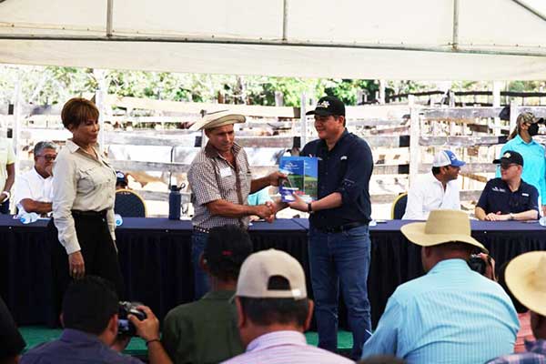 Productores en Colón siguen mejorando sus hatos con Programa Un Mejor Semental