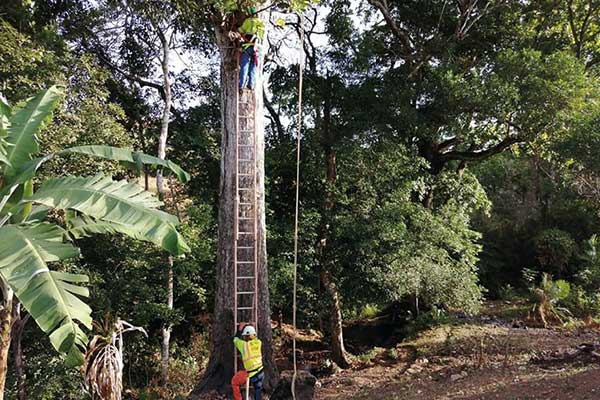 Saneamiento de Panamá inicia construcción de Red de Alcantarillado de Burunga Este
