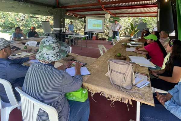 Productores de Renacimiento buscan mitigar efectos del cambio climático en cultivo de café