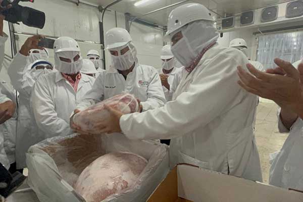 Panamá exporta a Nicaragua primer contenedor de carne de cerdo