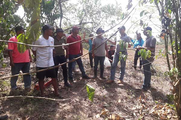 Pequeños productores de Colón se capacitan a en manejo integrado de la broca del café