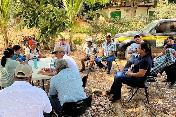 Realizan Mesas Técnicas Agroclimáticas para adaptar sector agropecuario al cambio climático