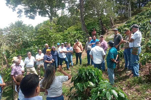 Realizan Segunda Jornada Nacional de Extensión en el rubro café