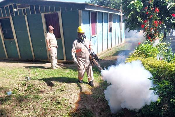 Autoridades de salud continúan acciones contra el dengue en Bocas del Toro