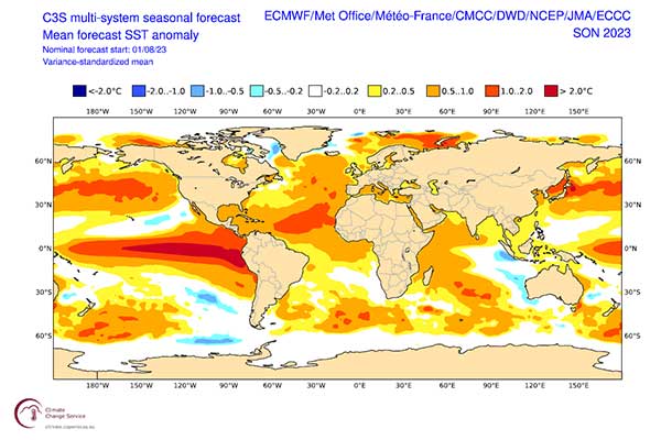 NOAA: fenómeno de El Niño pasa de intensidad débil a moderada