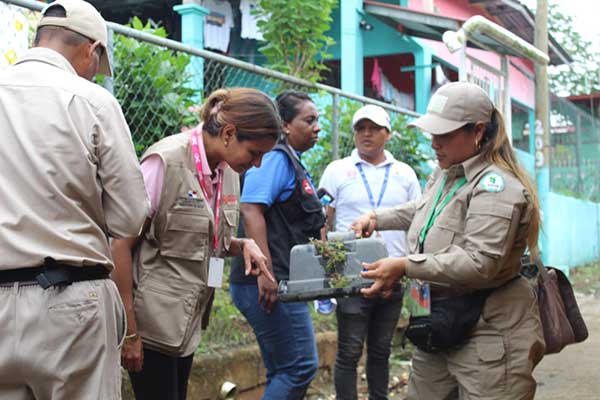 Autoridades de salud mantienen acciones en San Miguelito contra el dengue por aumento de casos