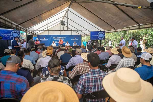 Cortizo entrega 61 sementales a pequeños ganaderos en Veraguas