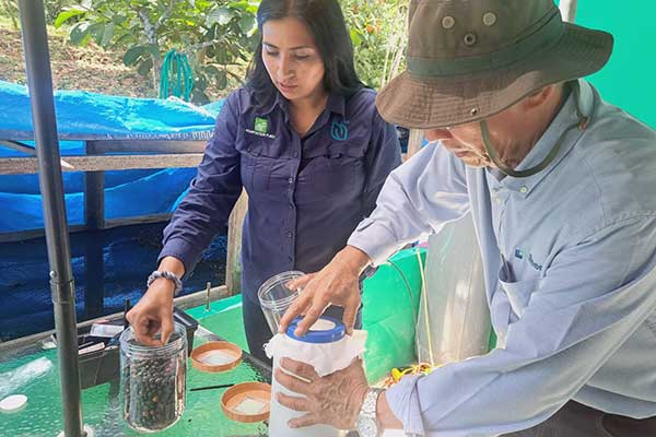 En marcha primer módulo artesanal para reproducción del controlador biológico de la Broca del Café