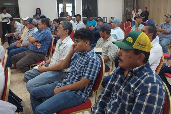 MIDA y productores de todo el país analizan panorama del arroz en Veraguas