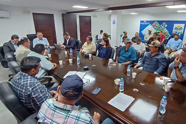 MIDA y sector arrocero revisan uso de fondos que se generan de importaciones