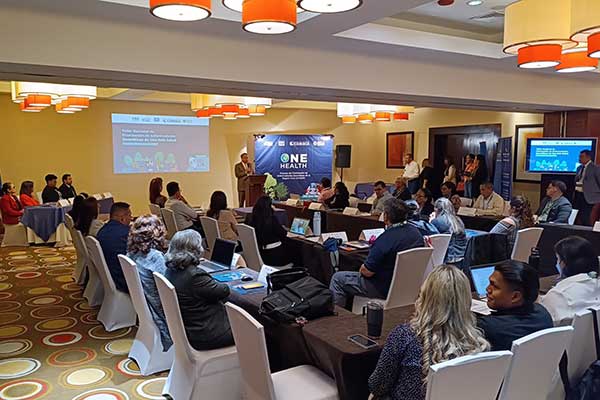 Taller de Priorización de Enfermedades Zoonóticas de Una Sola Salud se realiza en Panamá