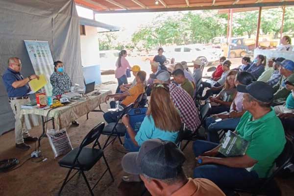 DINASA y COPEG capacitan a productores en Coclé