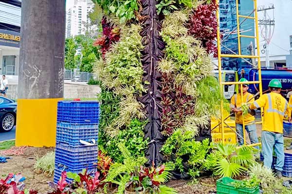 Construyen primer jardín vertical municipal y mejoran espacio público