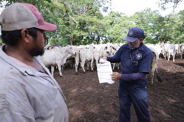 Lecheros se actualizan sobre rebrote endémico del gusano barrenador en la región