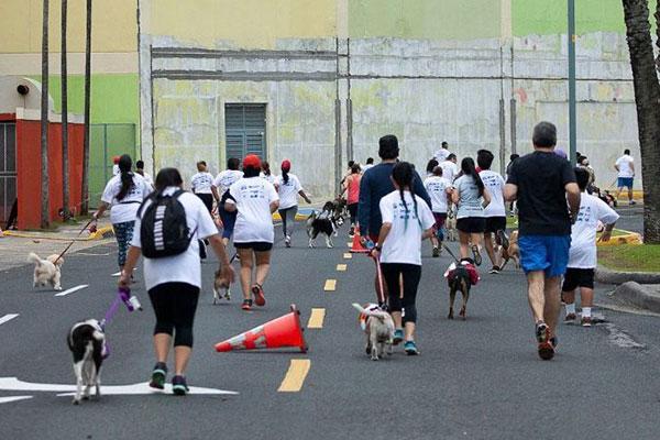 Presentan 1ra Carrera-Caminata Donatón