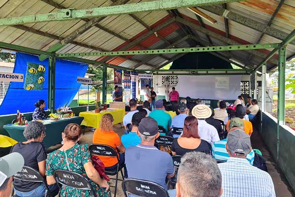 Productores de miel de Panamá Este se capacitan