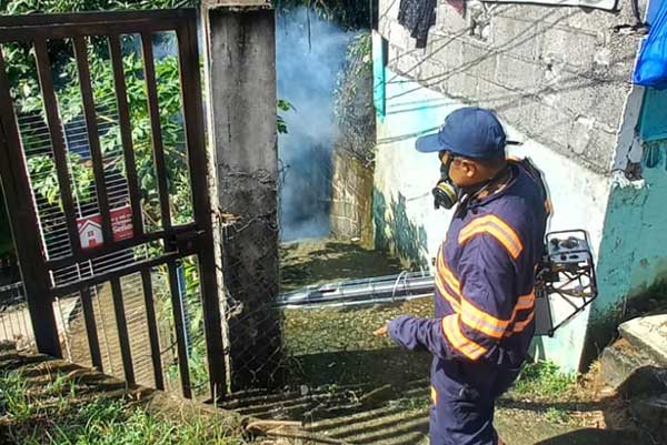 MINSA: participación ciudadana es clave para combatir el dengue