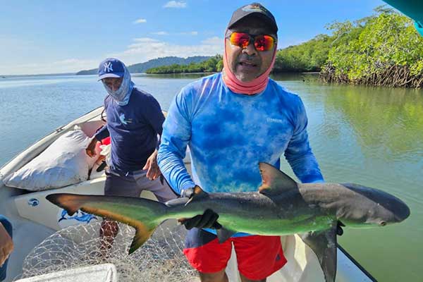 Coiba AIP inicia proyecto para conservación de estuarios en Panamá