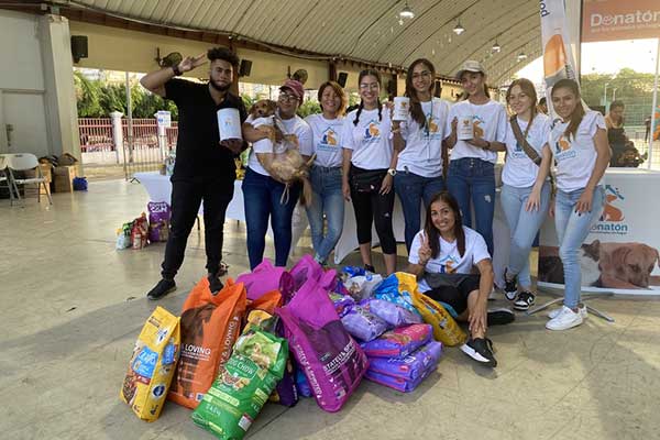 Donatón por animales sin hogar continúa apoyando a rescatistas y fundaciones en el país