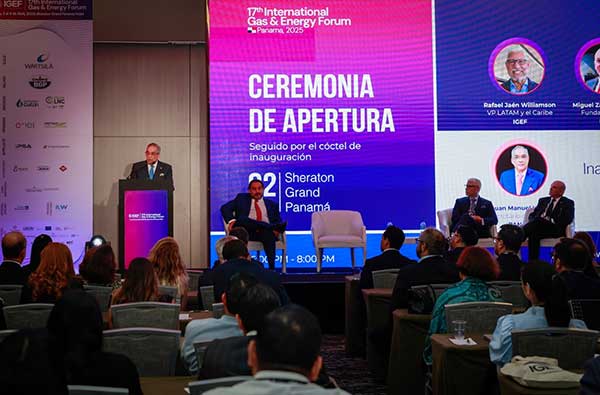 Viceministro Hoyos participa del XVII Foro Internacional de Gas y Energía