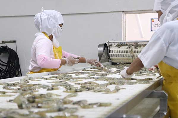 Panamá sigue consolidando tendencia de crecimiento sostenido en las exportaciones
