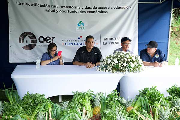 Por primera vez, 14 familias panameñas tienen luz en Palmarito Centro