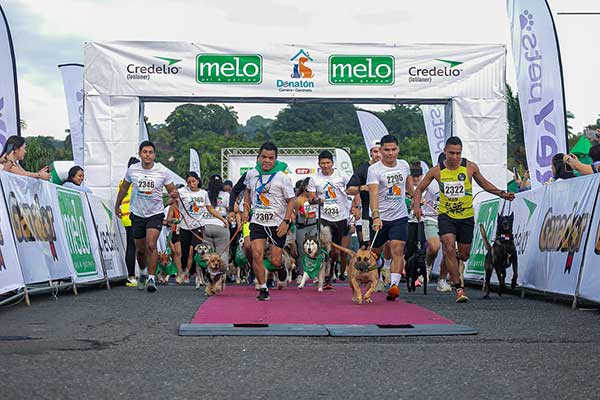 Exitosa Carrera-Caminata Donatón 2025 recaudó fondos para esterilizar perros y gatos